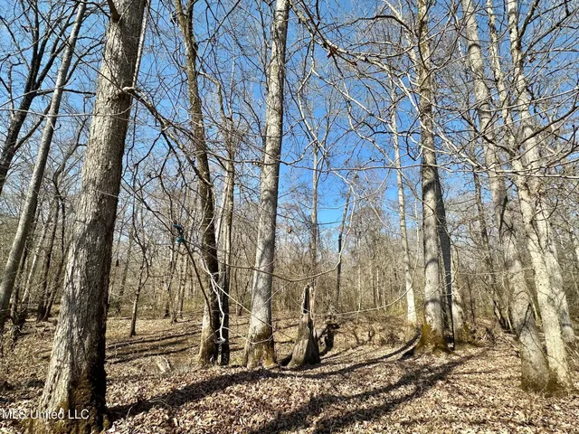 $875,000 | 4 Evans Road, Carthage, MS 39051