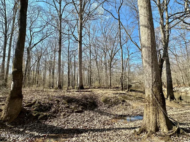 $875,000 | 4 Evans Road, Carthage, MS 39051