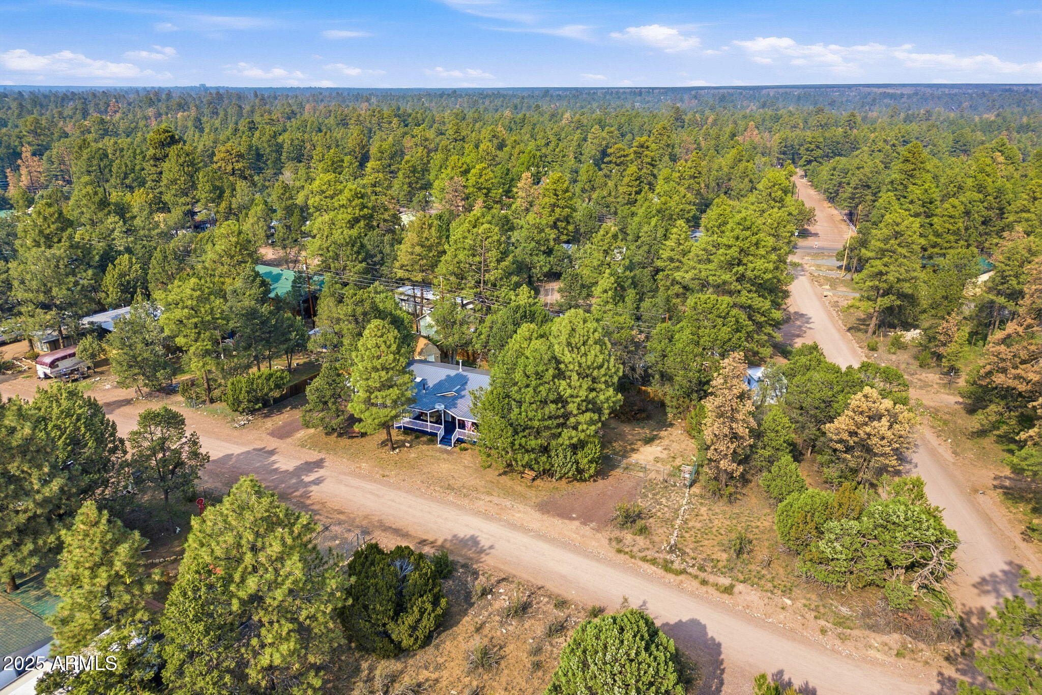 2190 Wildlife Trail Overgaard, AZ 85933 - Photo 31 of 34 a view of a yard with a garden