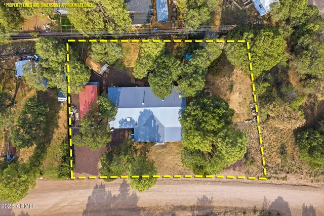 an aerial view of a house with a yard and large trees
