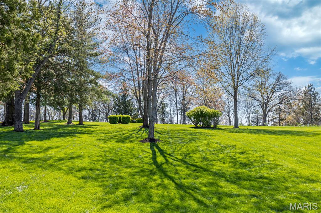 1203 Grey Fox Run Weldon Spring, MO 63304 - Photo 13 of 53