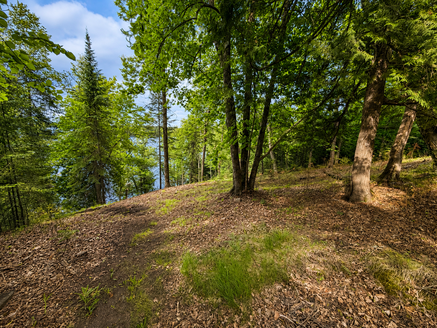 50573 Evergreen Point Road Bigfork, MN 56628 - Photo 36 of 47