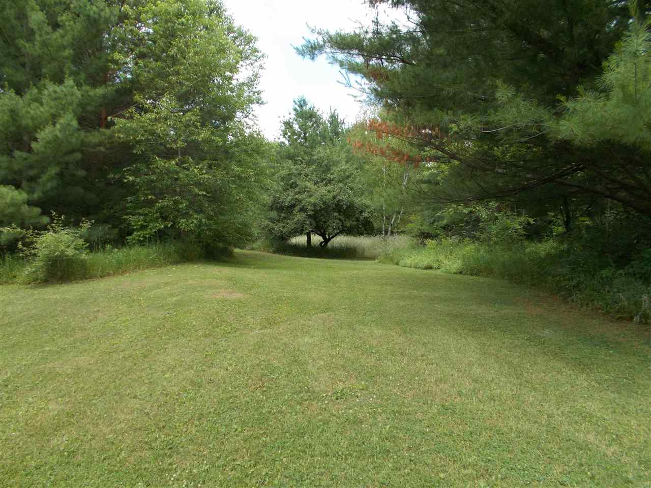 1581 Towerline Road Hale, MI 48739 - Photo 23 of 55 1889668-22.JPG