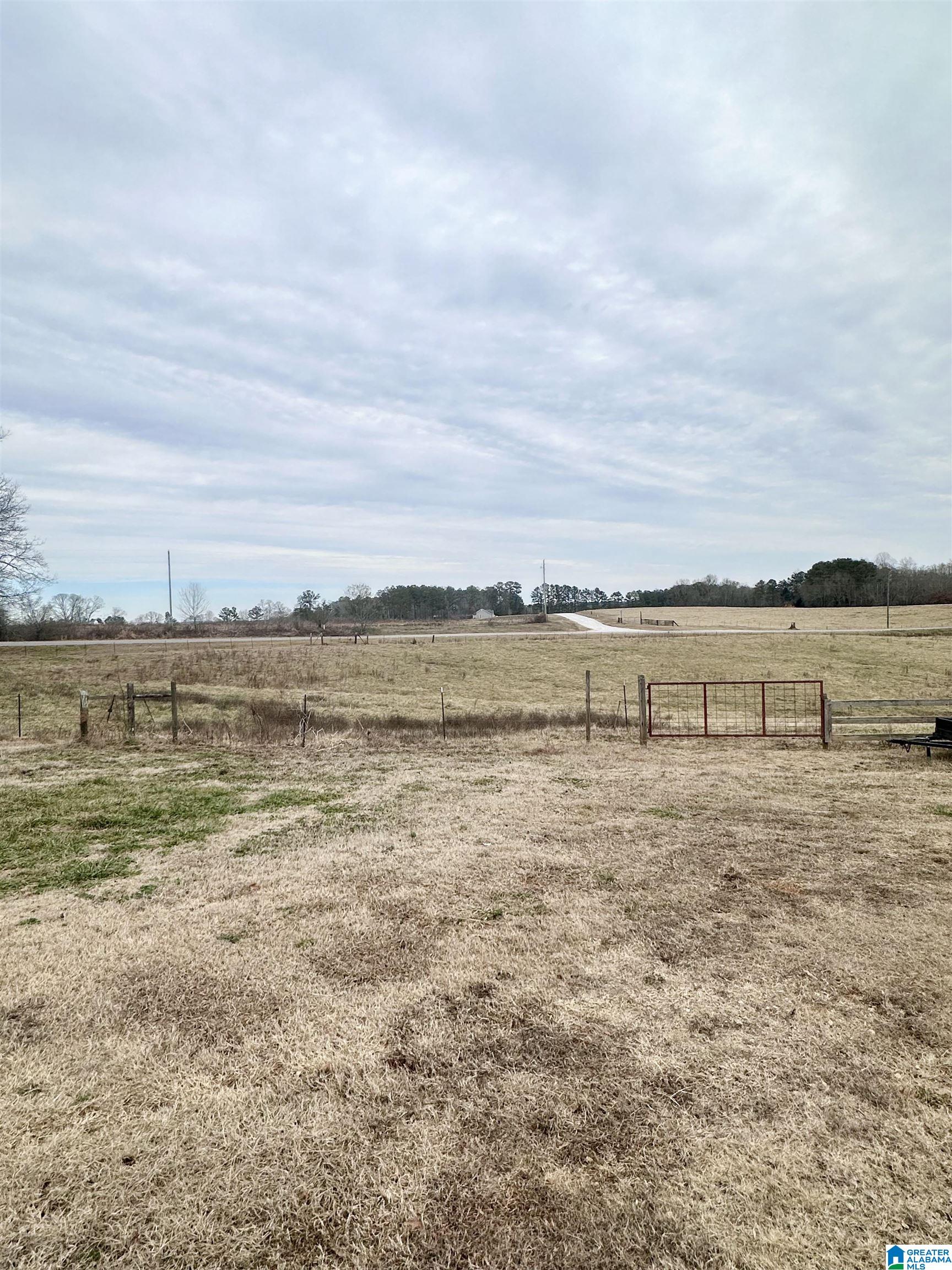 2102 County Road 609 Wedowee, AL 36278 - Photo 27 of 63