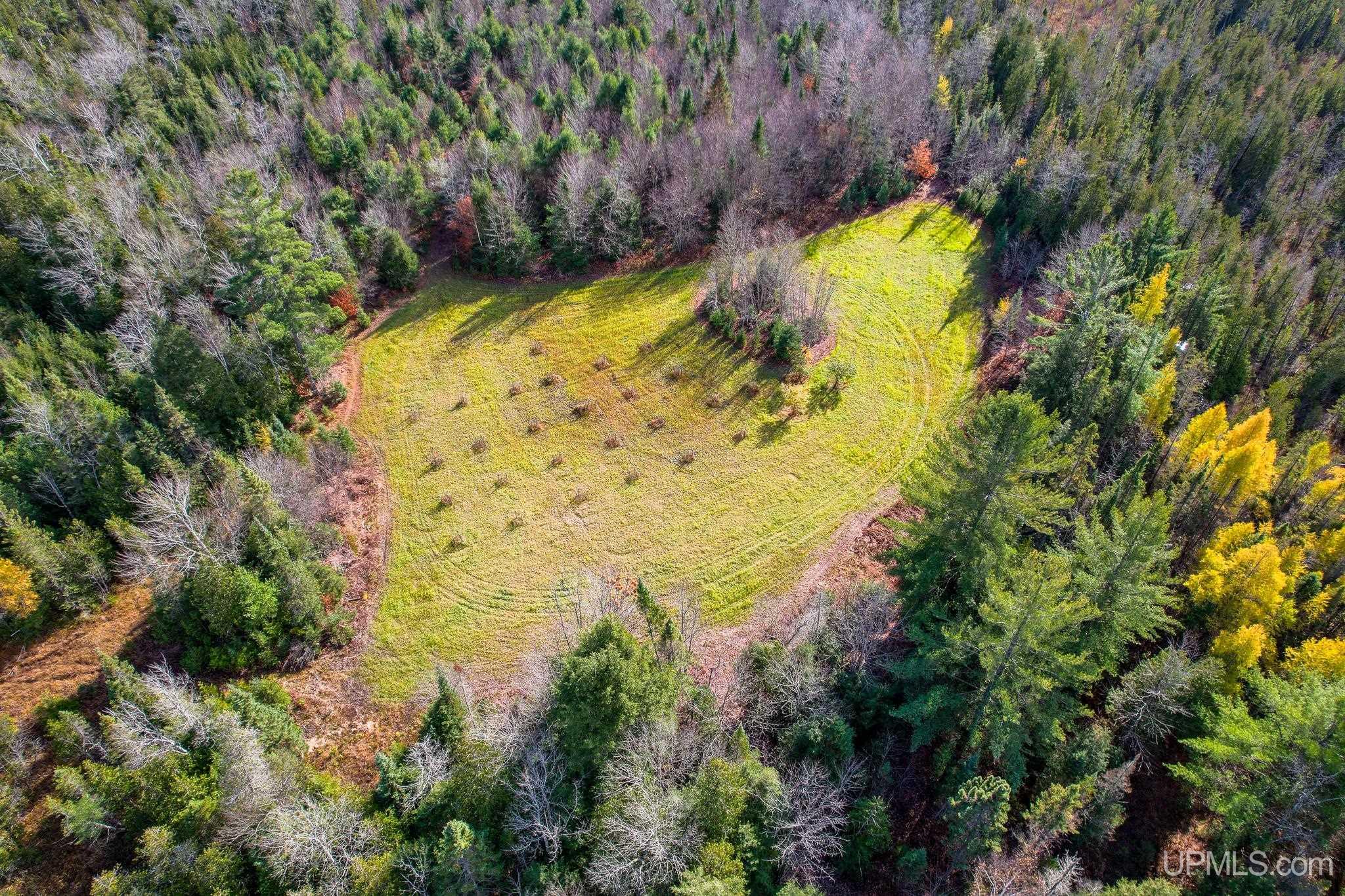 240-acres Long Lake Road Wetmore, MI 49895 - Photo 33 of 39