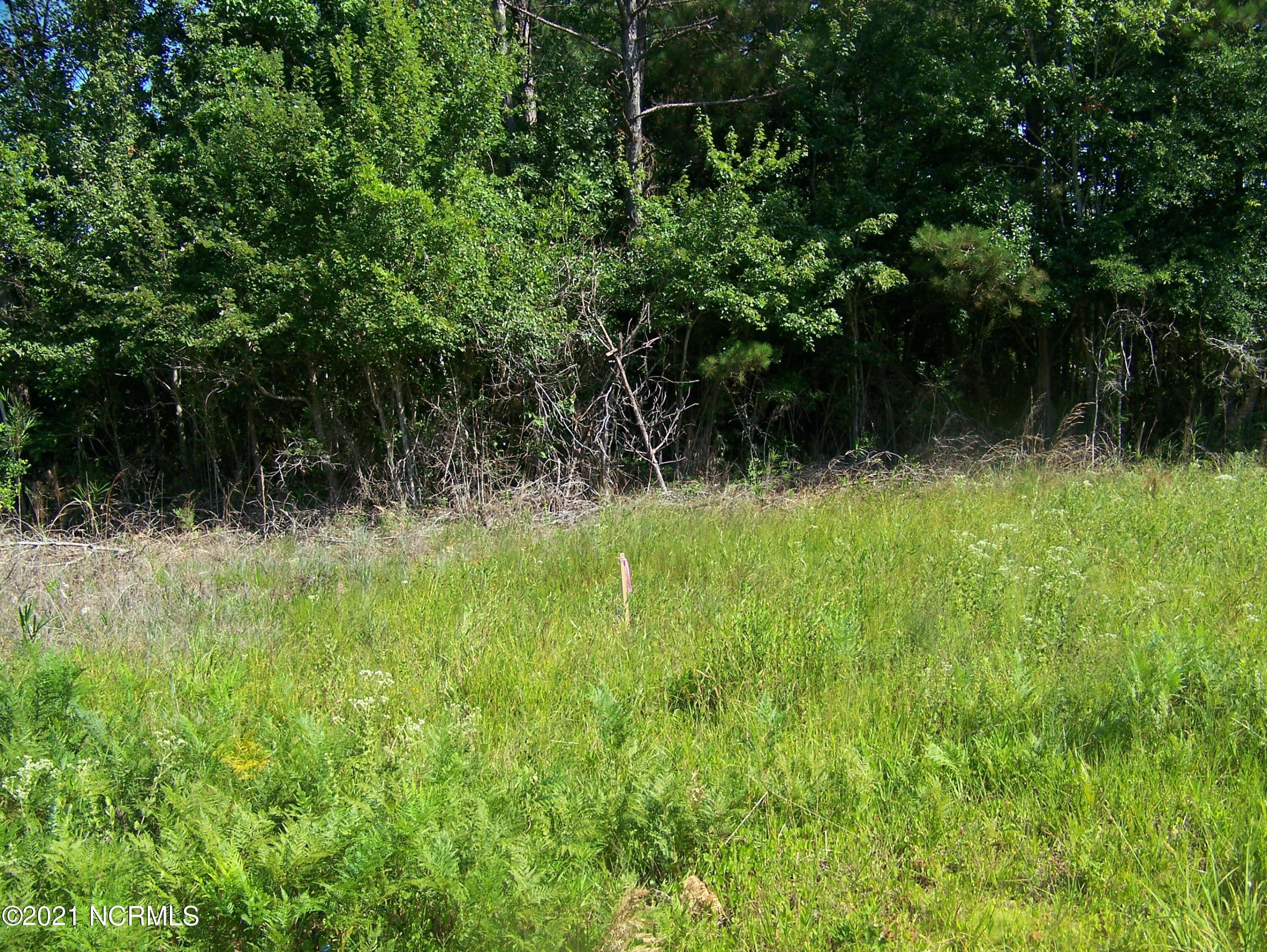 896 West Boiling Spring Road Boiling Spring Lakes, NC 28461 - Photo 1 of 1 wooded