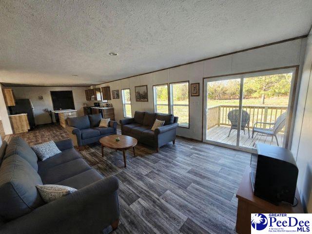 4067 Step Road Wallace, SC 29596 - Photo 5 of 17 Gallery Image 5