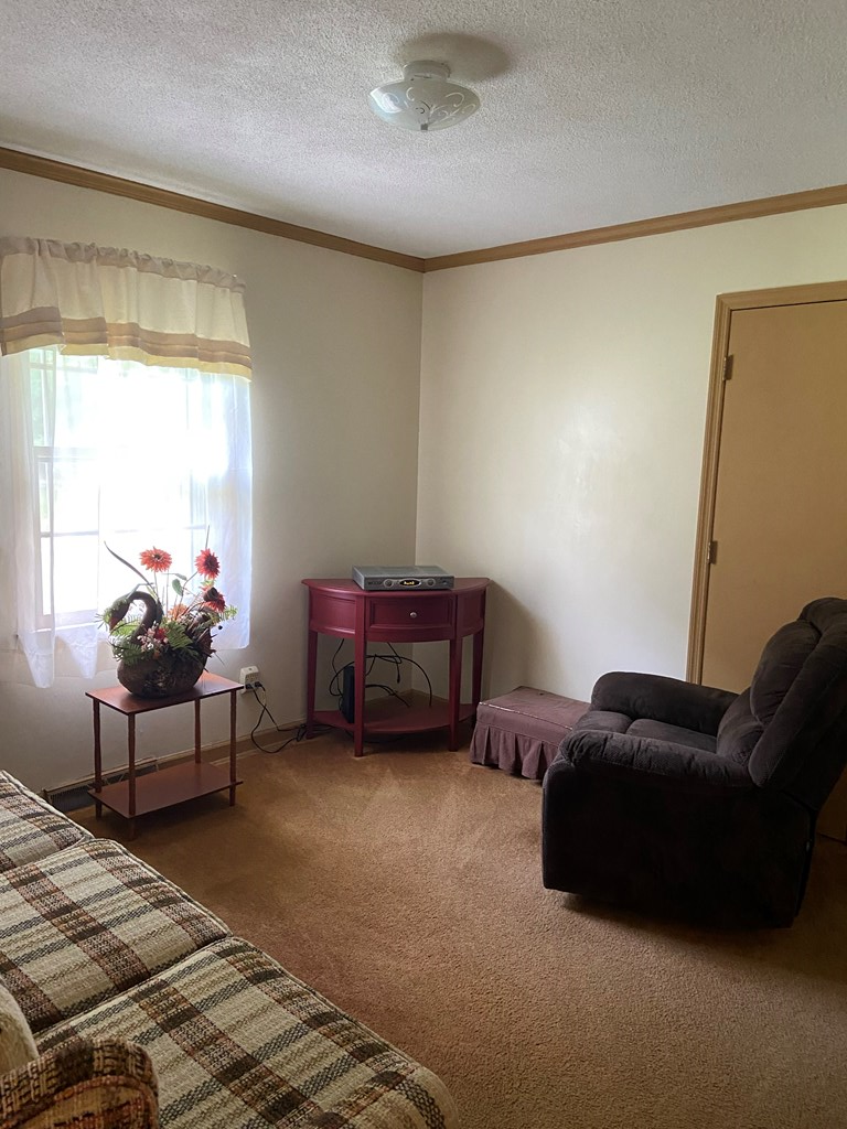 3712 Cokesbury Road Hodges, SC 29653 - Photo 13 of 24