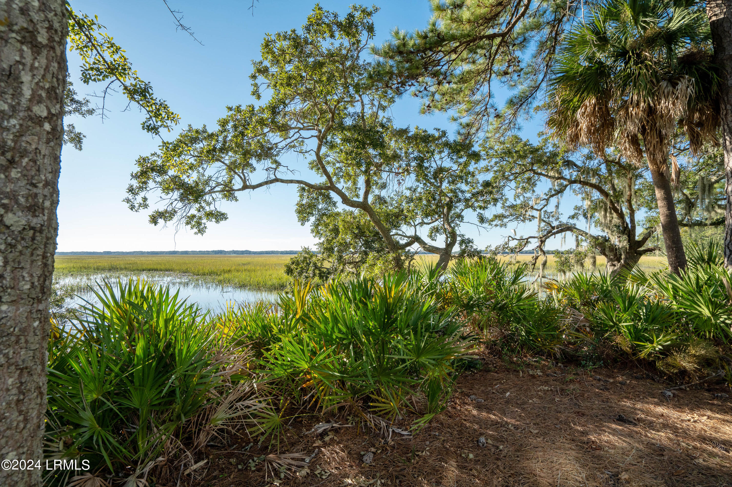 1031 Curisha Point North St. Helena Island, SC 29920 - Photo 51 of 73 1031 Curisha N-60