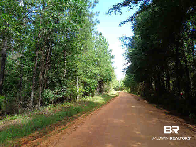 0 Blair Road Brewton, AL 36426 - Photo 1 of 5