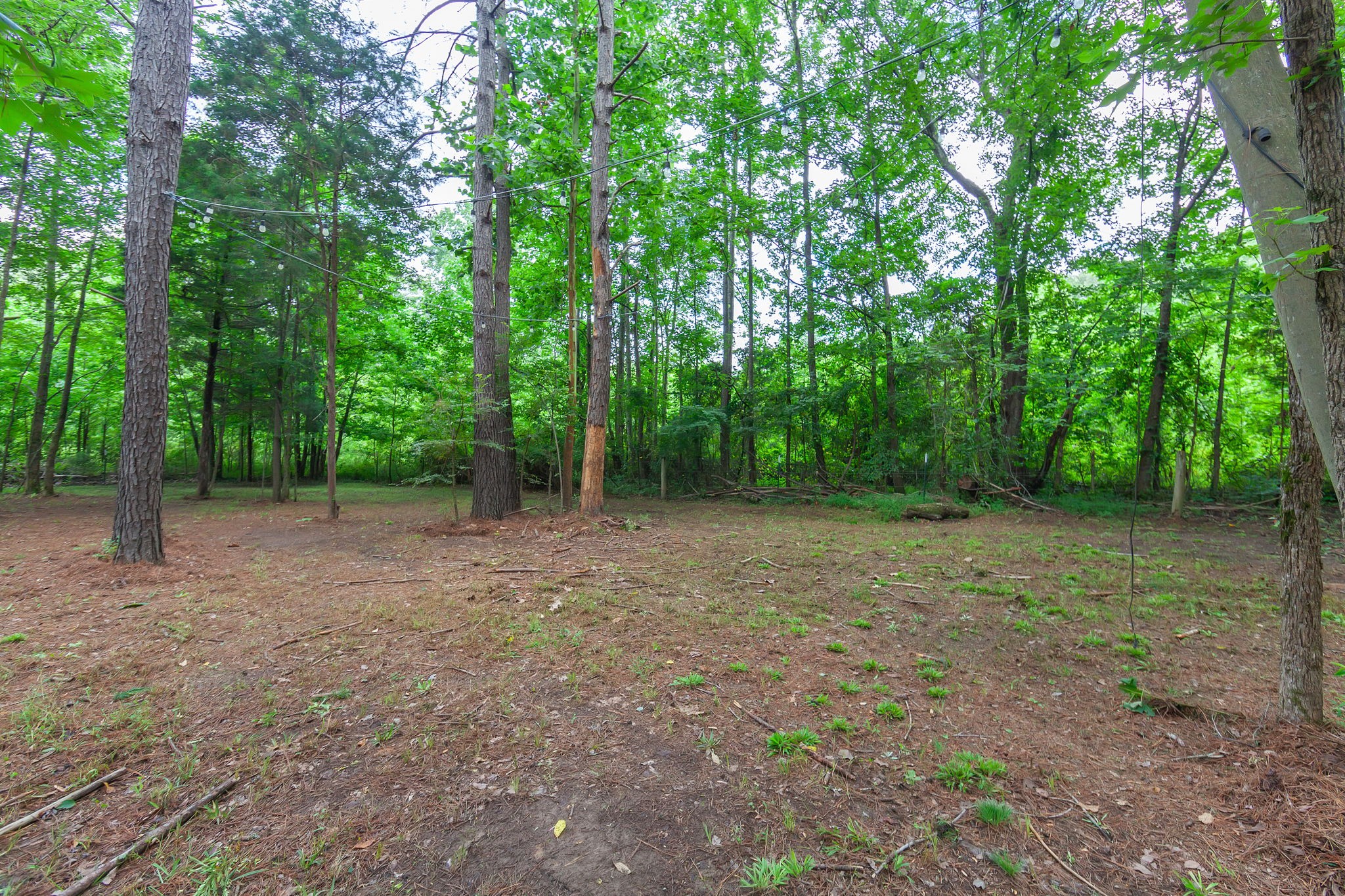 6940 Highway 100 Decaturville, TN 38329 - Photo 25 of 40 Gallery Image 25
