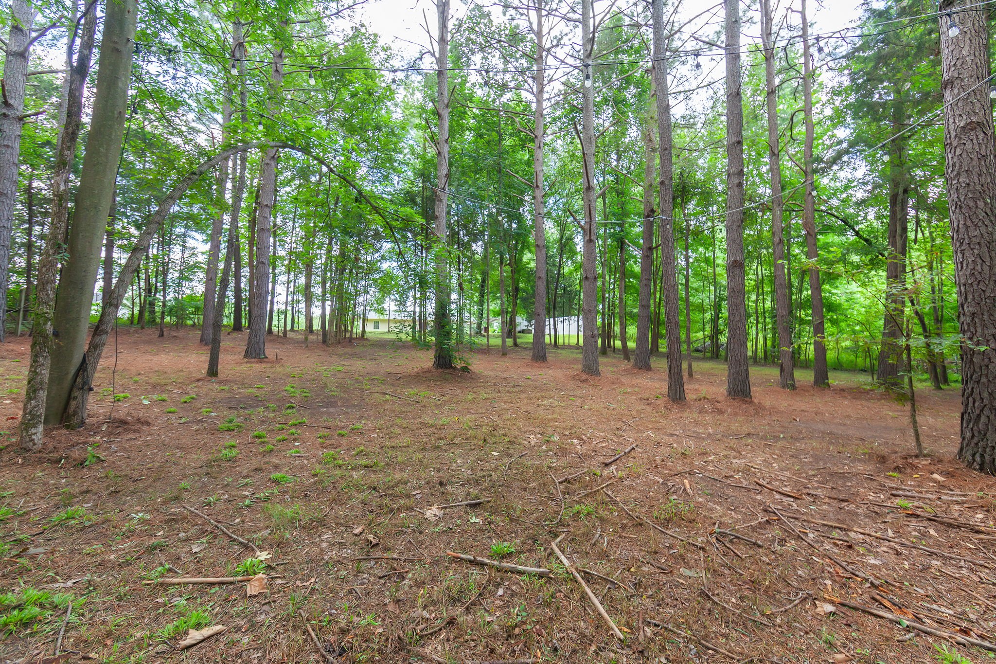6940 Highway 100 Decaturville, TN 38329 - Photo 26 of 40 Gallery Image 26