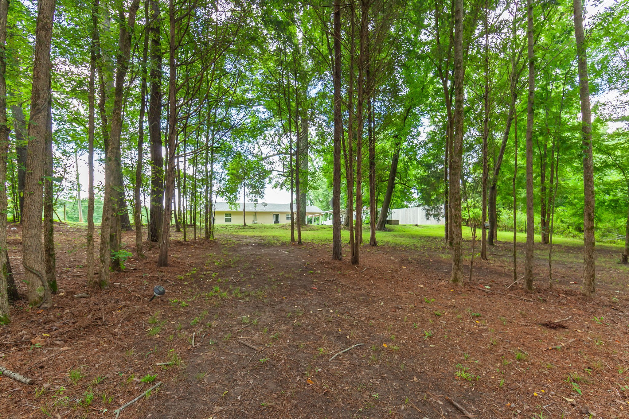 6940 Highway 100 Decaturville, TN 38329 - Photo 27 of 40 Gallery Image 27
