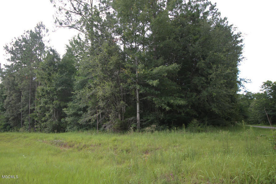 19-ac Grain Elevator Road Lucedale, MS 39452 - Photo 1 of 8 Primary Photo