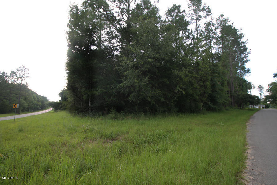 19-ac Grain Elevator Road Lucedale, MS 39452 - Photo 2 of 8 2