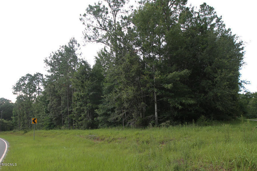 19-ac Grain Elevator Road Lucedale, MS 39452 - Photo 3 of 8 3 (1)