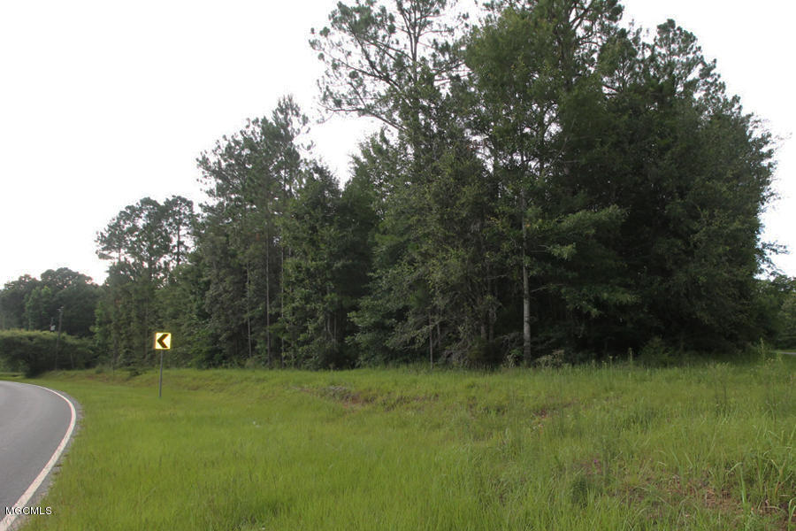 19-ac Grain Elevator Road Lucedale, MS 39452 - Photo 4 of 8 4