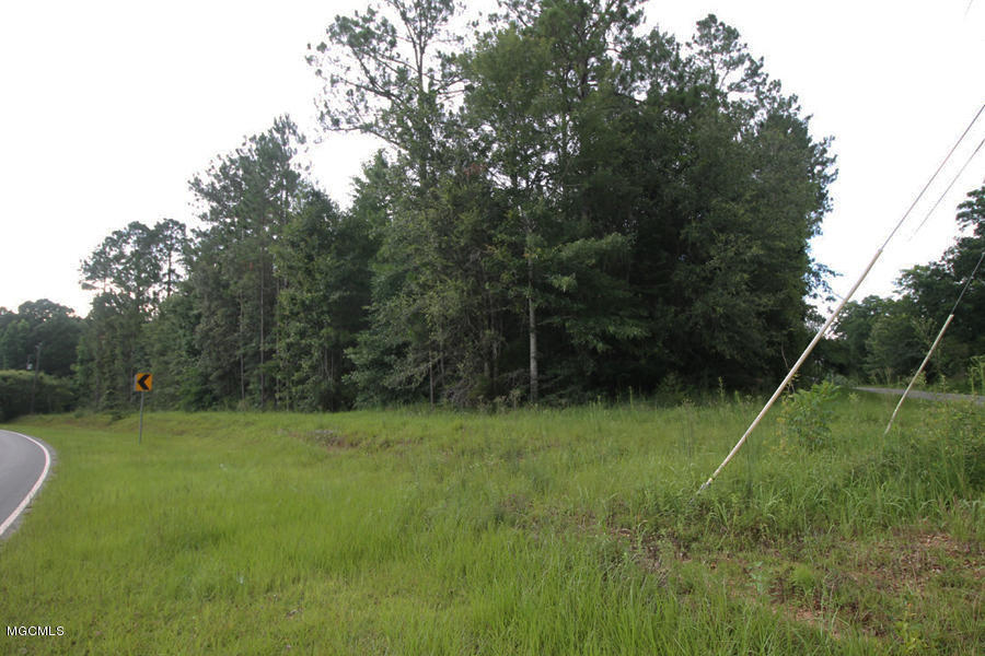 19-ac Grain Elevator Road Lucedale, MS 39452 - Photo 5 of 8 5