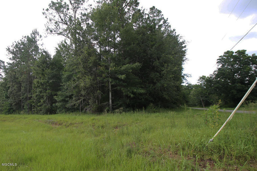 19-ac Grain Elevator Road Lucedale, MS 39452 - Photo 6 of 8 6