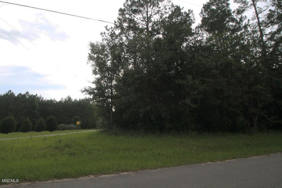 19-ac Grain Elevator Road Lucedale, MS 39452 - Photo 7 of 8 7