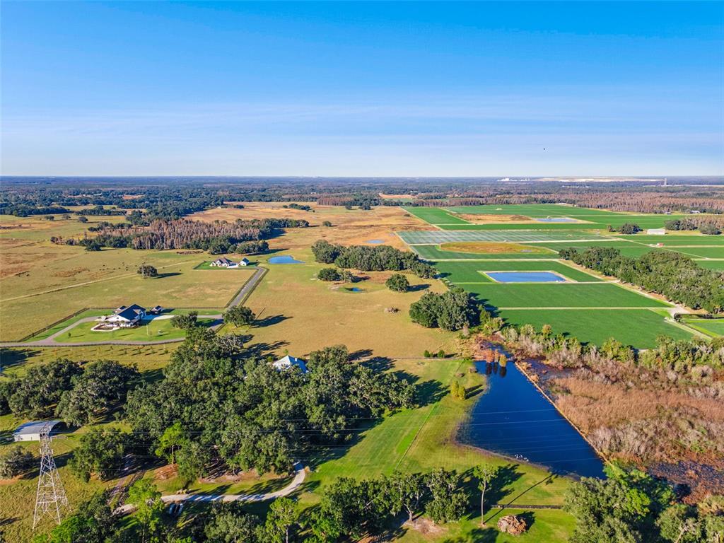 4636 West Knights Griffin Road Plant City, FL 33565 - Photo 60 of 62