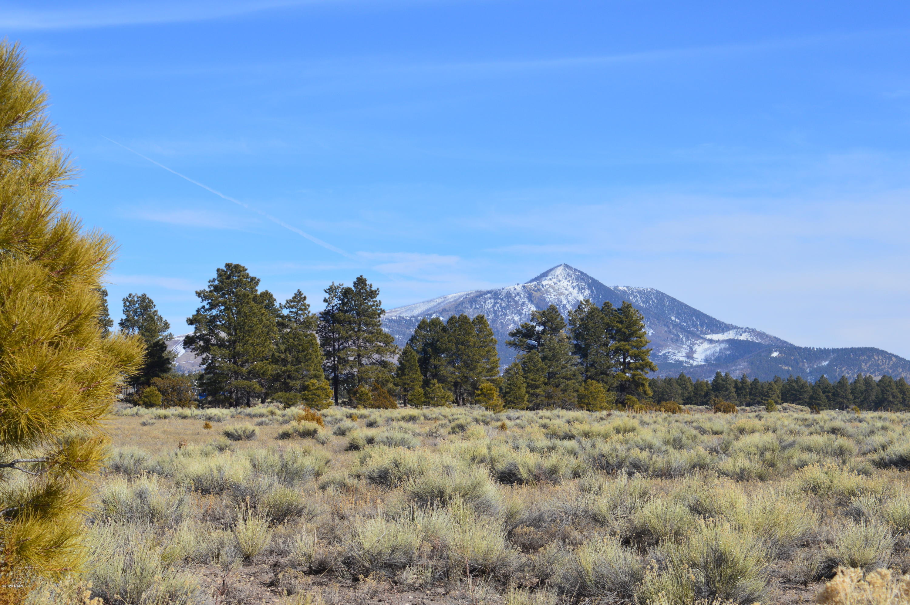 12117 East Spring Valley Road Parks, AZ 86018 - Photo 11 of 25 DSC_0762