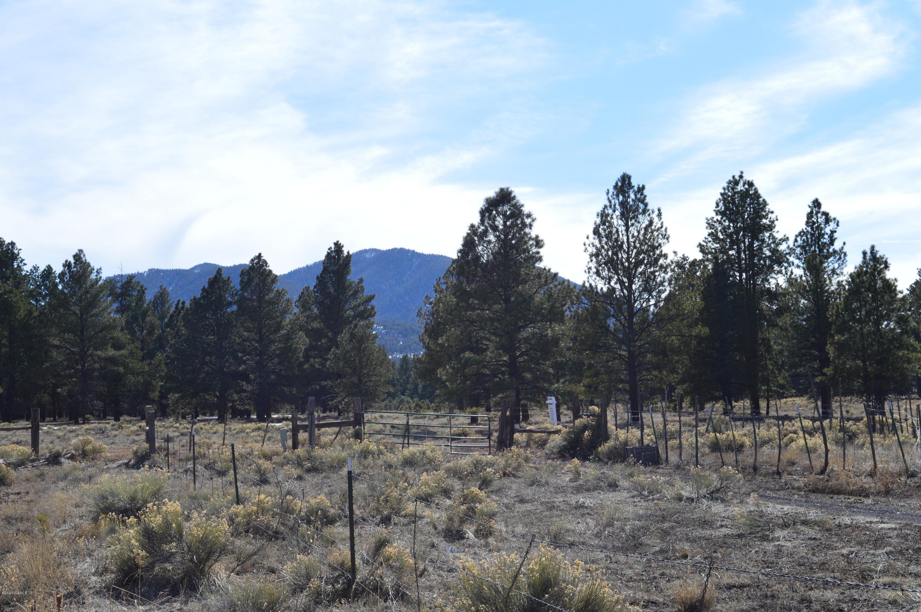 12117 East Spring Valley Road Parks, AZ 86018 - Photo 14 of 25 DSC_0777