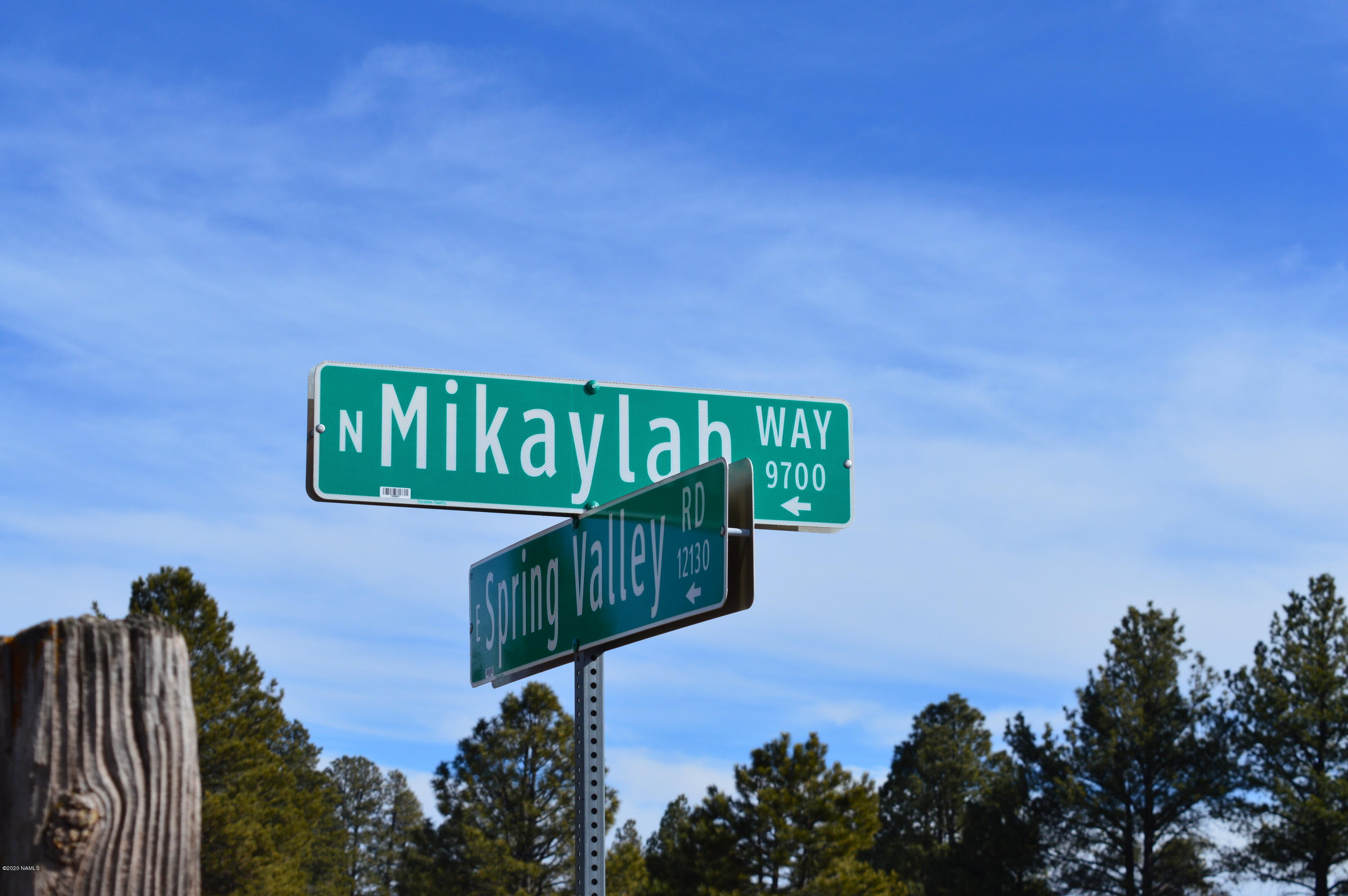 12117 East Spring Valley Road Parks, AZ 86018 - Photo 15 of 25 DSC_0779