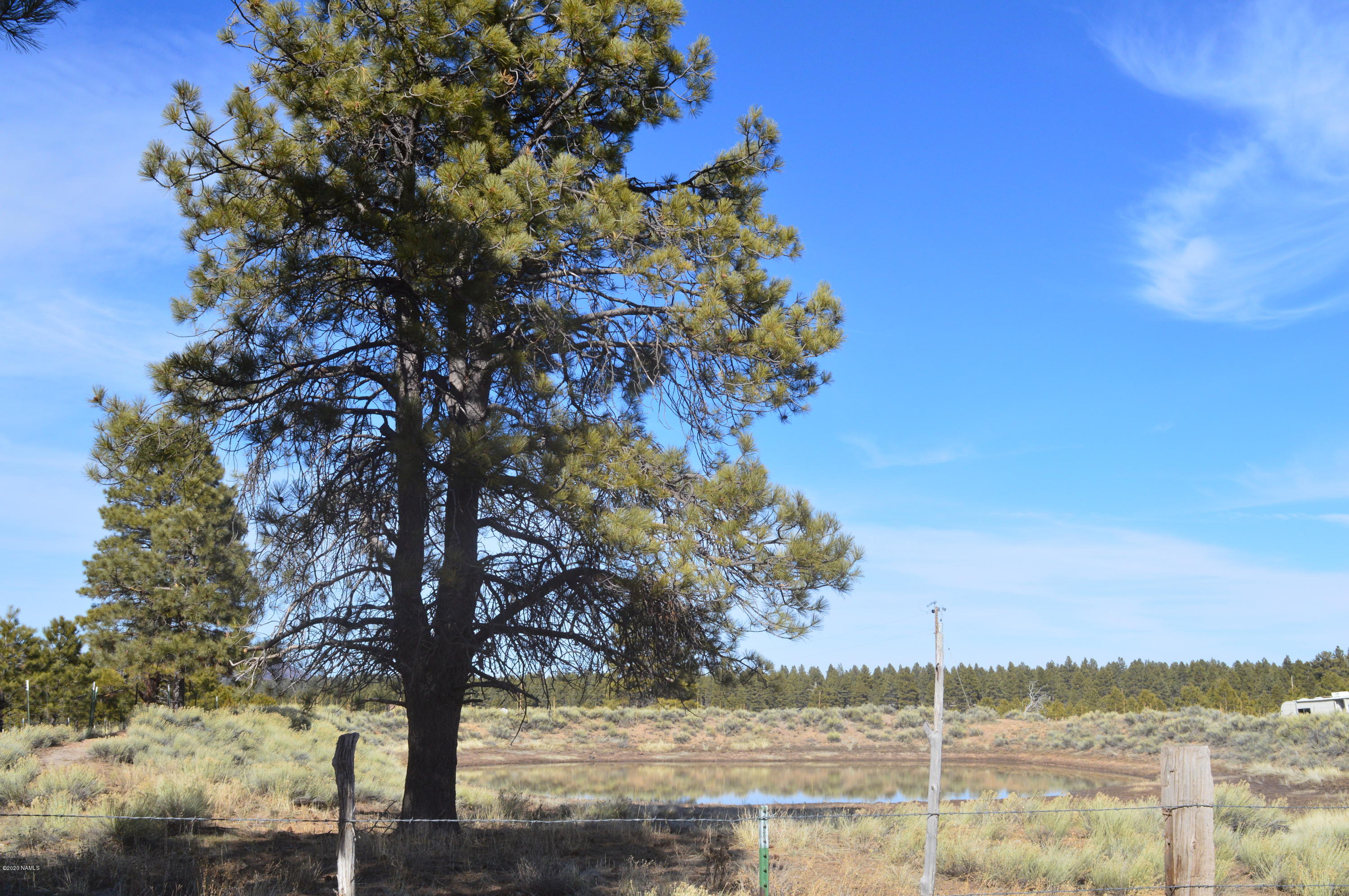 12117 East Spring Valley Road Parks, AZ 86018 - Photo 20 of 25 DSC_0789 (1)