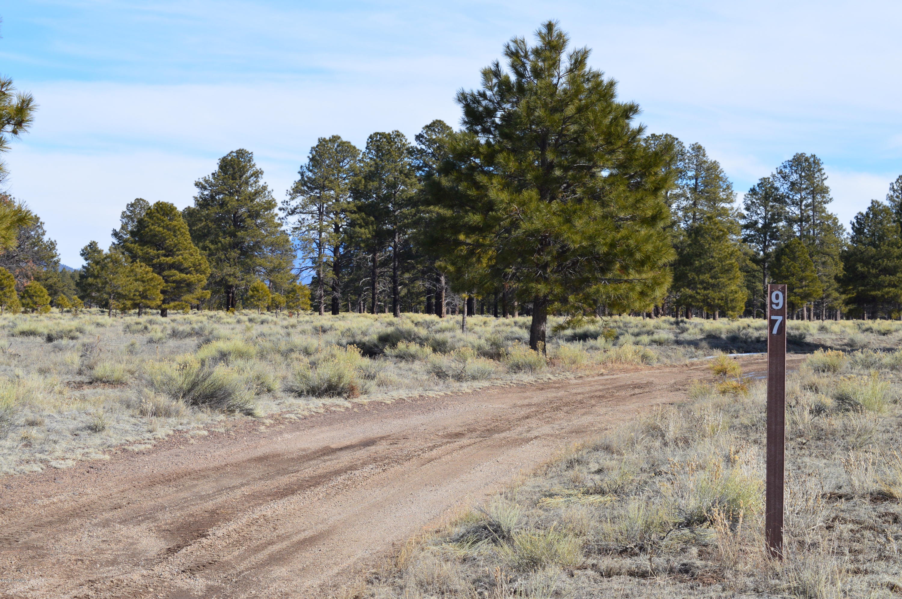 12117 East Spring Valley Road Parks, AZ 86018 - Photo 22 of 25 Forest Service Trails