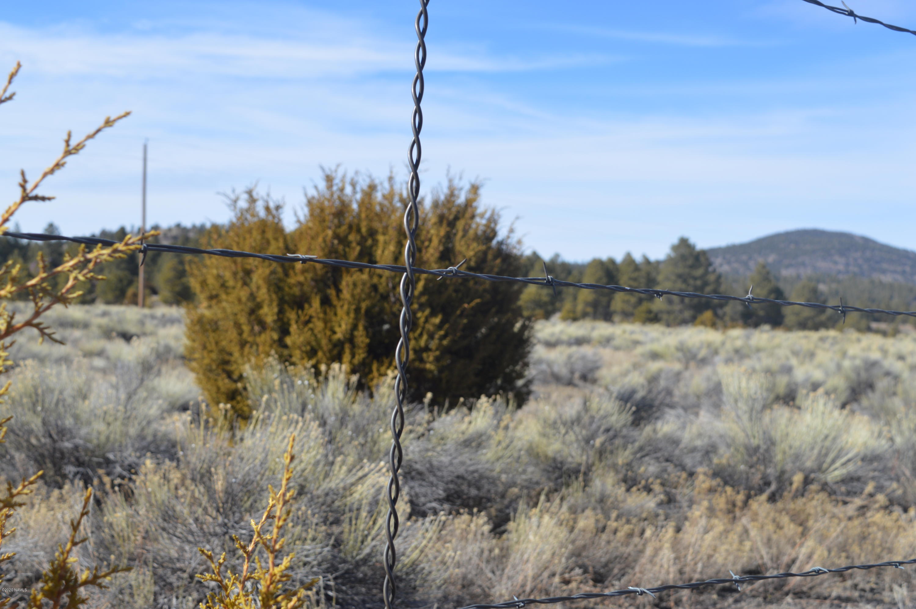 12117 East Spring Valley Road Parks, AZ 86018 - Photo 25 of 25 DSC_0744