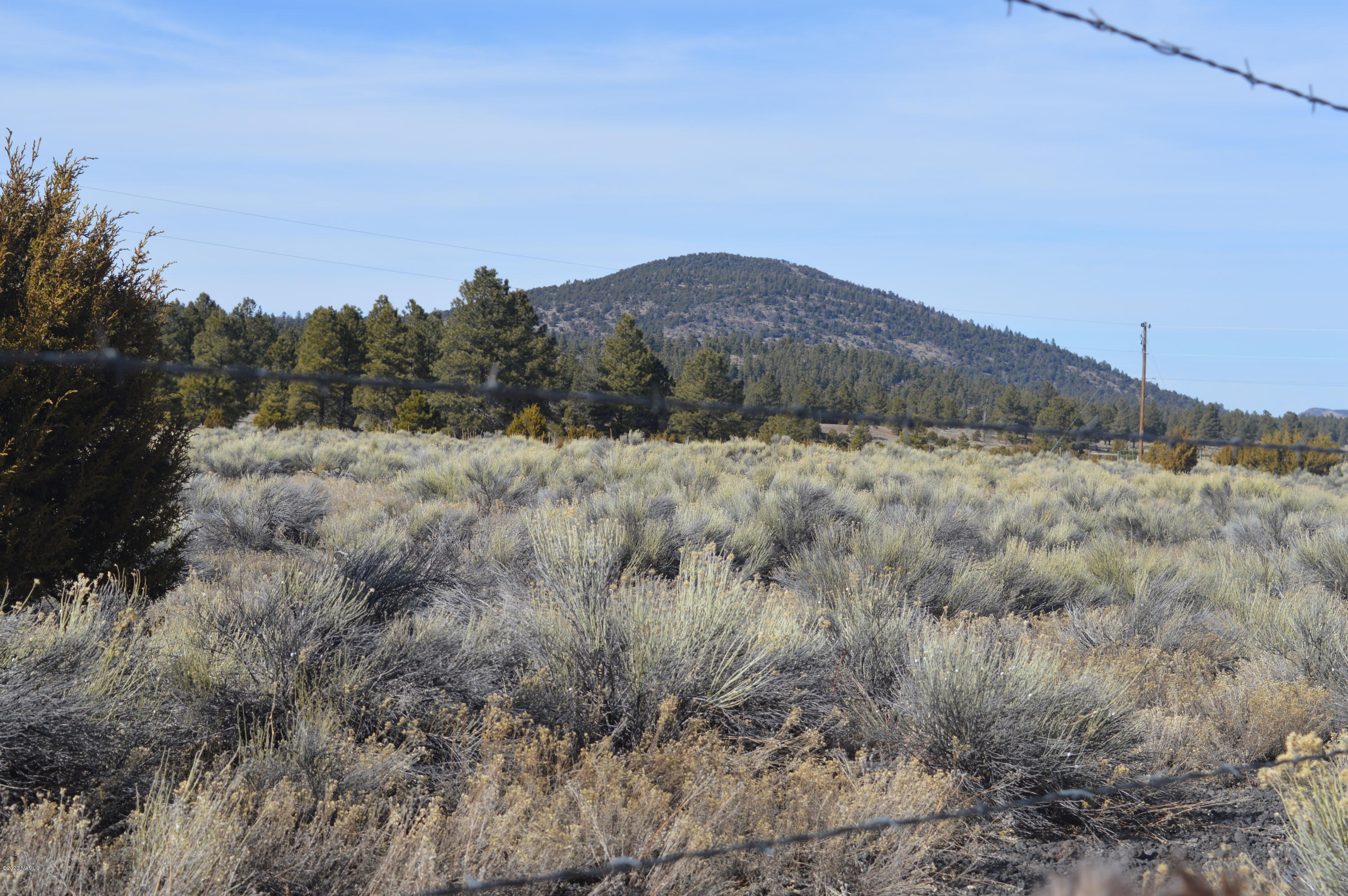 12117 East Spring Valley Road Parks, AZ 86018 - Photo 3 of 25 DSC_0743