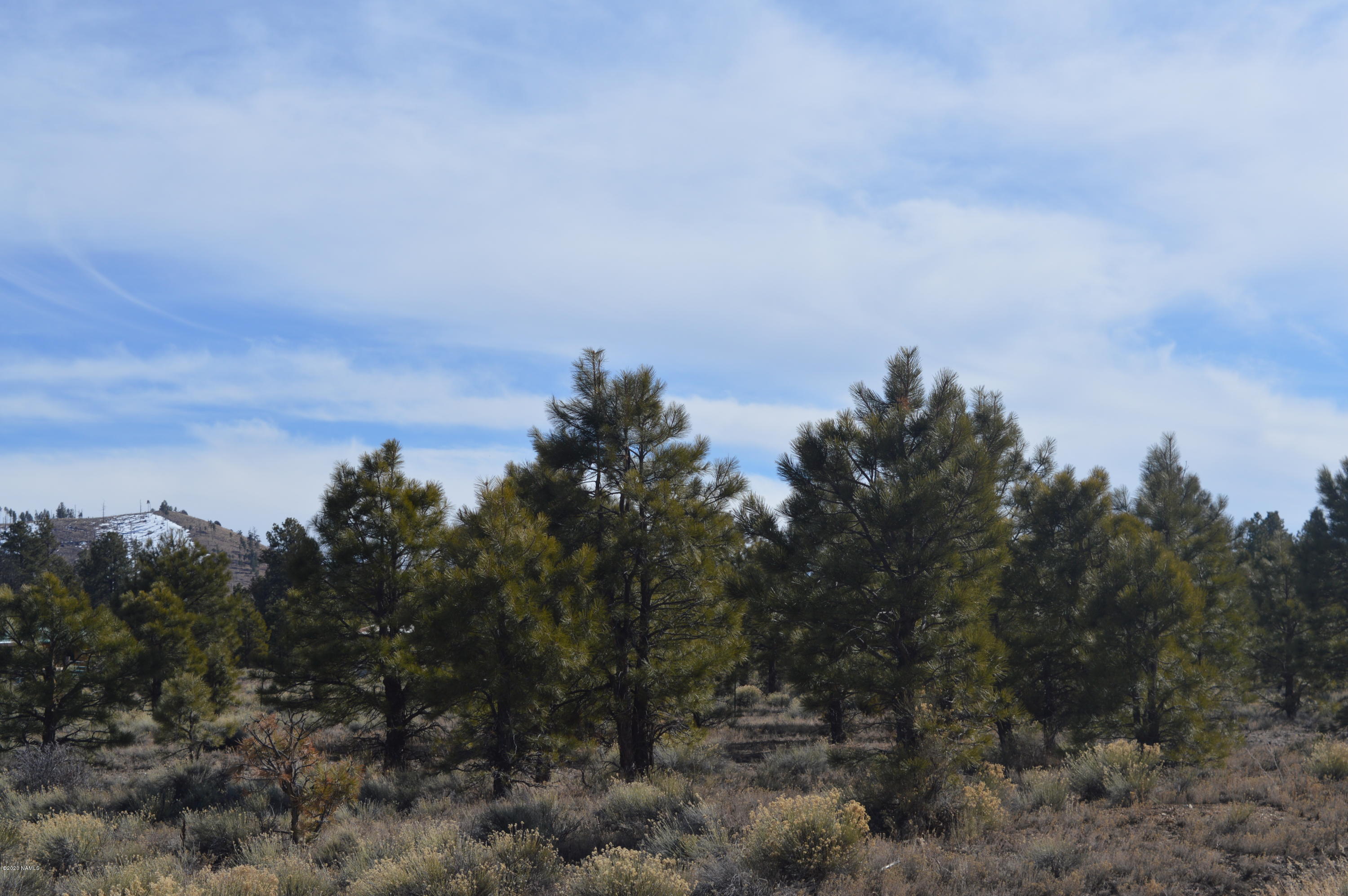 12117 East Spring Valley Road Parks, AZ 86018 - Photo 5 of 25 DSC_0737