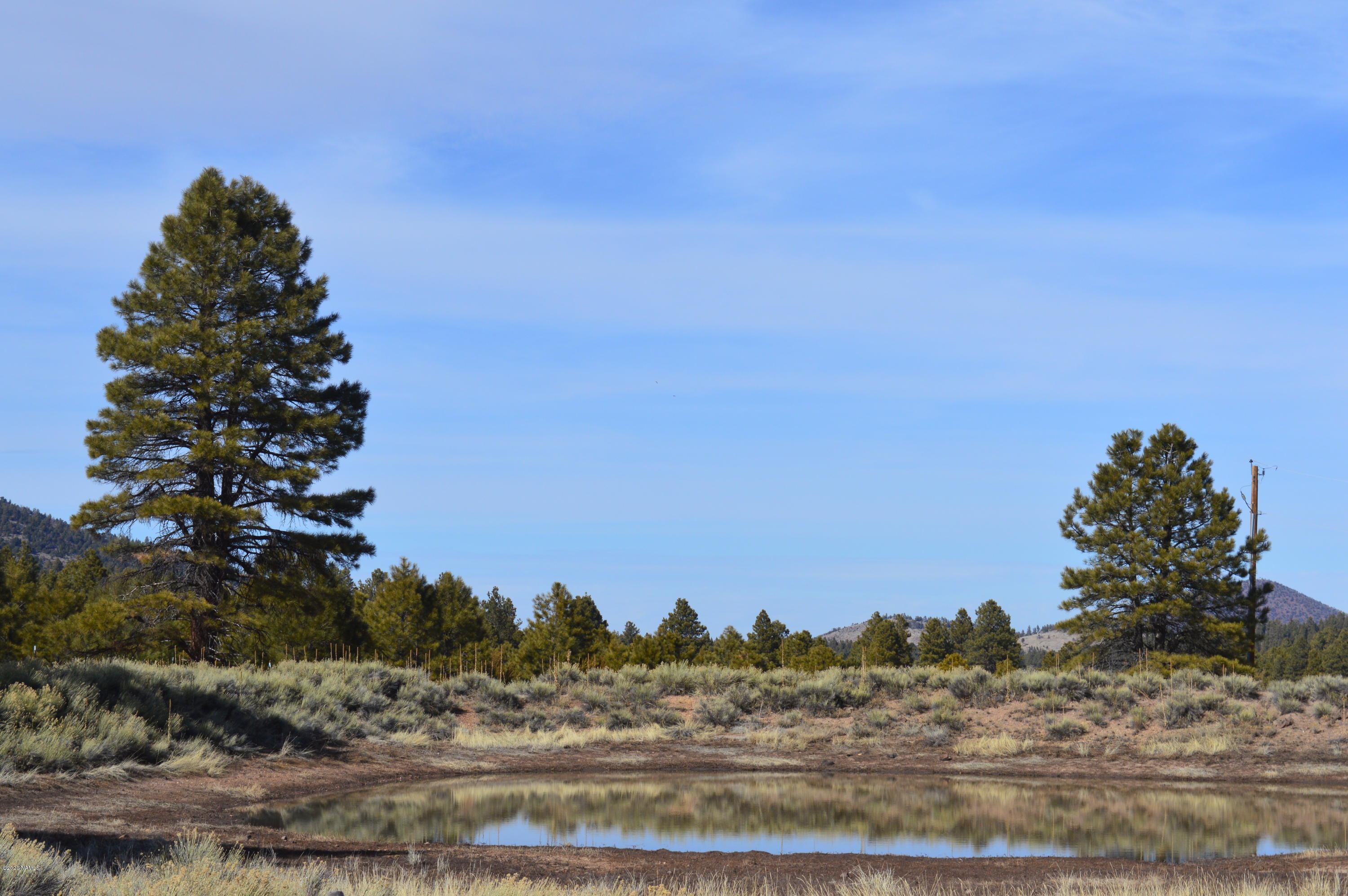 12117 East Spring Valley Road Parks, AZ 86018 - Photo 6 of 25 Pond on property