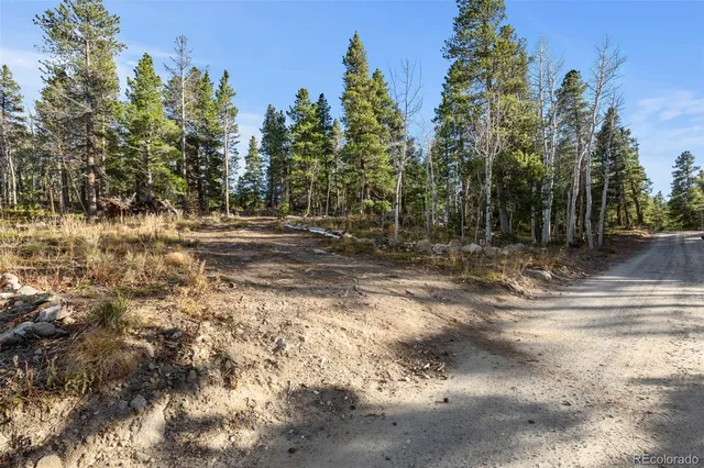 a view of a yard with a tree