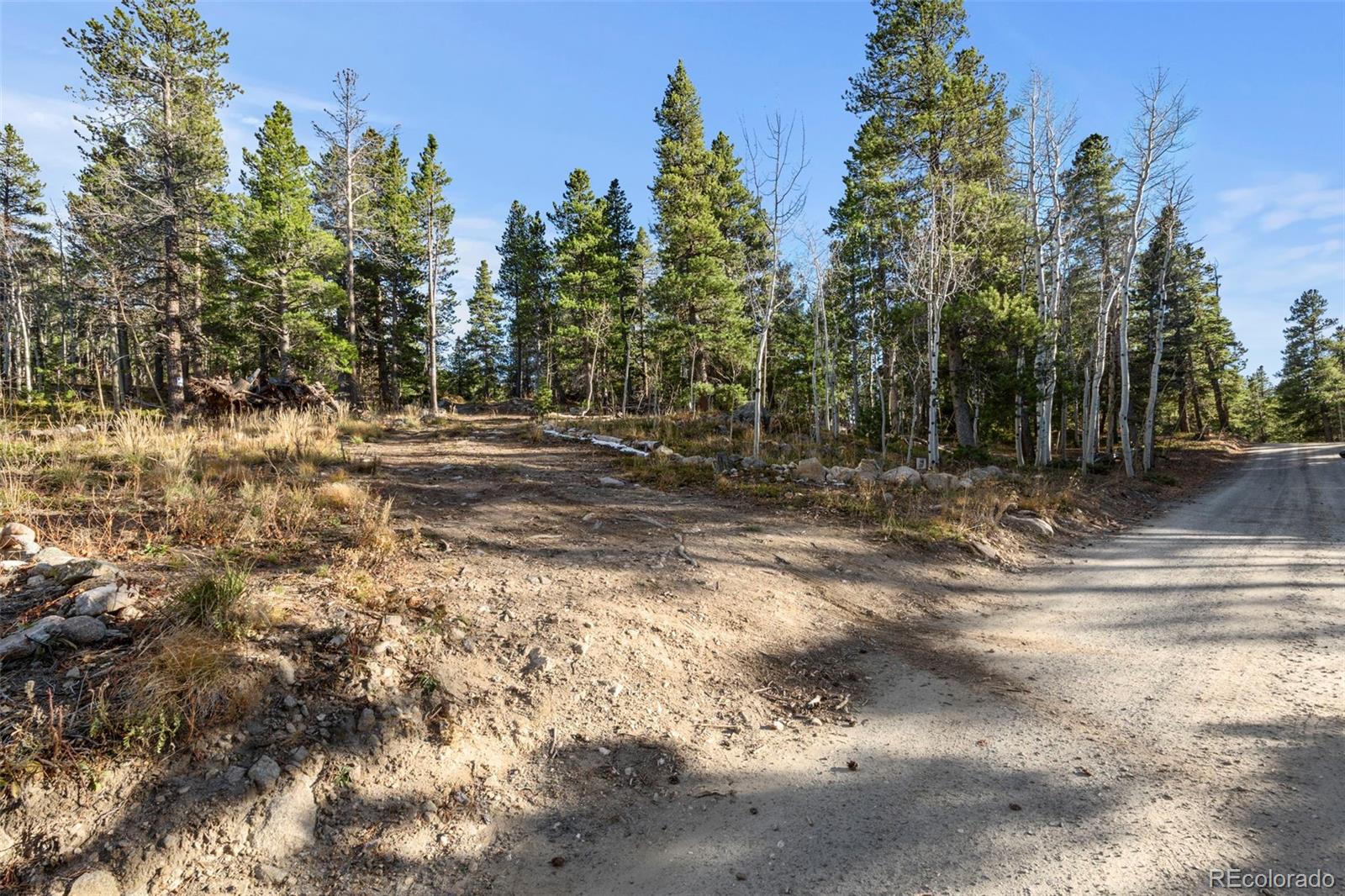 84 Severance Lodge Road Black Hawk, CO 80422 - Photo 3 of 8 a view of a yard with a tree