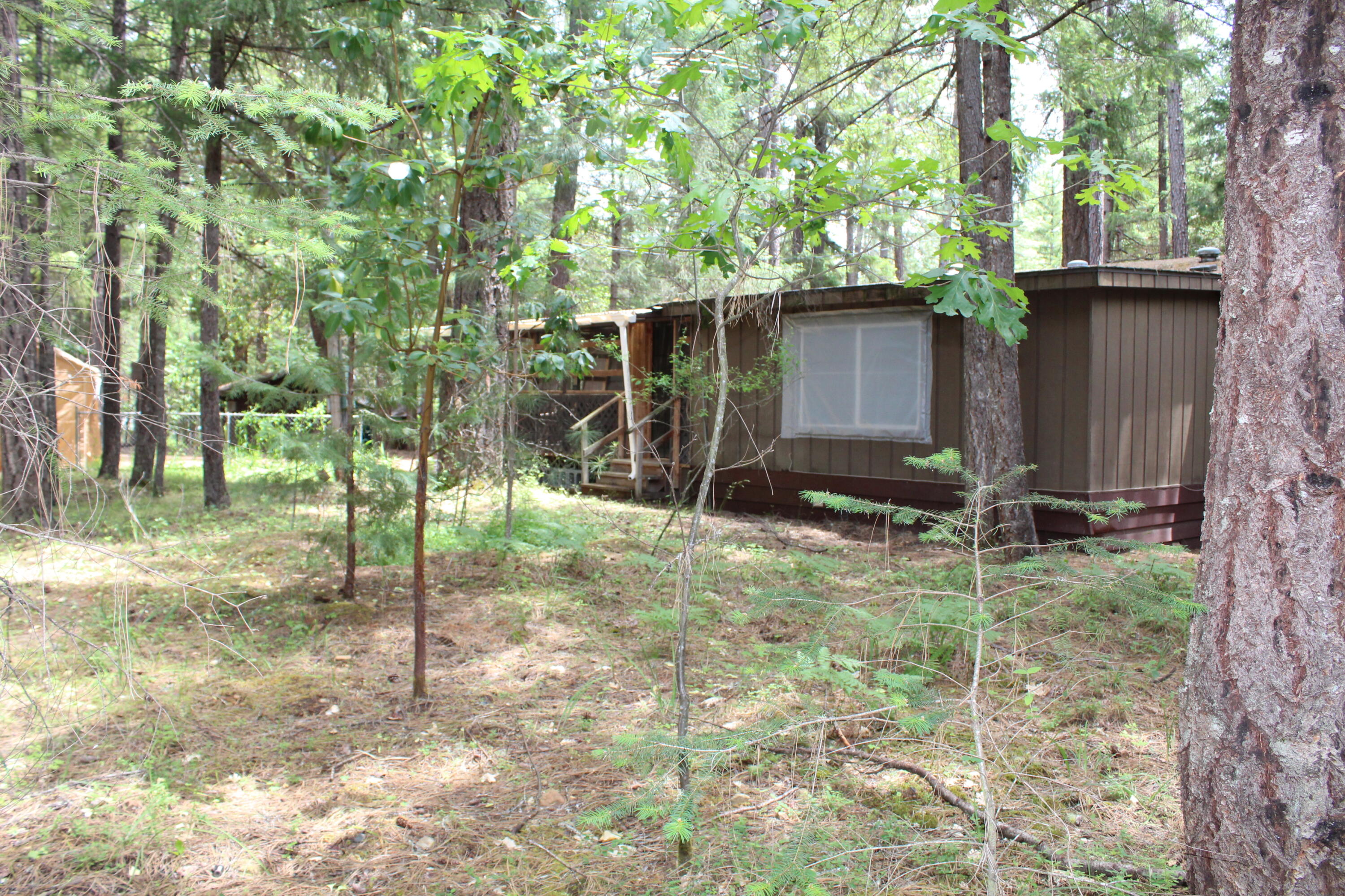 820 Queens Branch Road Rogue River, OR 97537 - Photo 25 of 32 IMG_6507