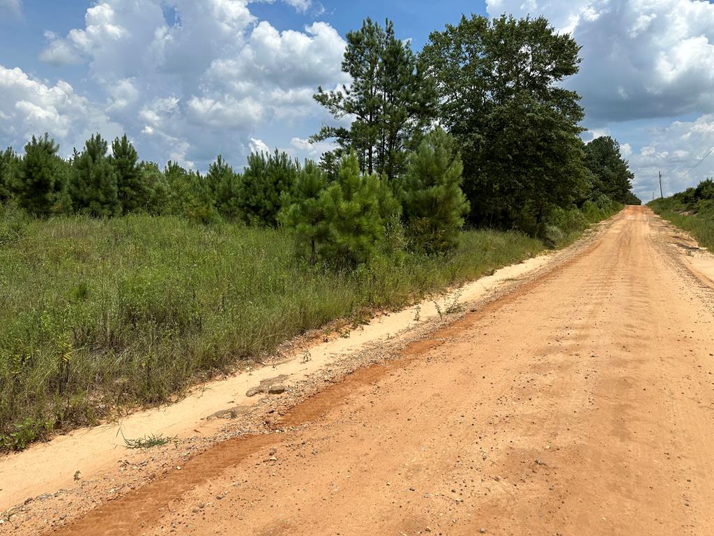 30-ac West Old Elba Road Coffee Springs, AL 36318 - Photo 3 of 19
