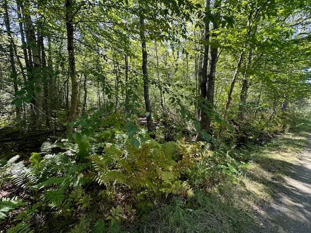 $45,000 | Map1-l431e Map1-l431e Sally Mack Road, Frankfort, ME 04438
