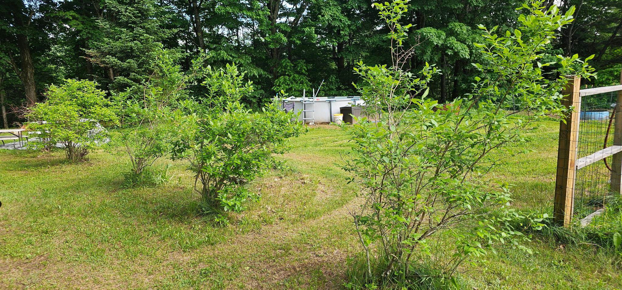 1745 Vermont Rte 100 Lowell, VT 05847 - Photo 34 of 38