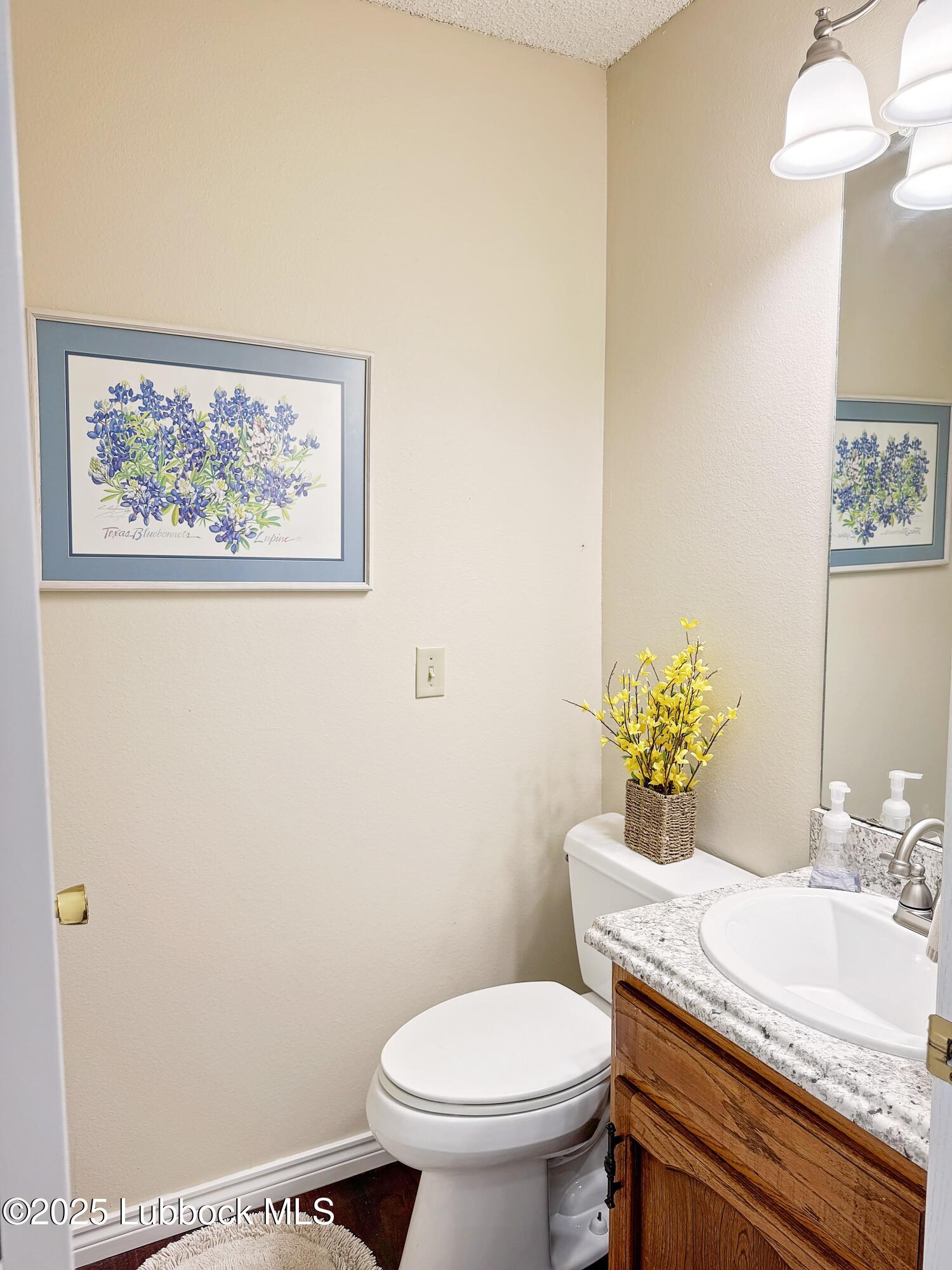 805 2nd Street Plains, TX 79355 - Photo 22 of 30 IMG_0334 2 copy