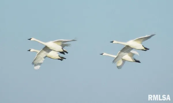 $224,500 | 13100 North County Road 1375, Havana, IL 62644