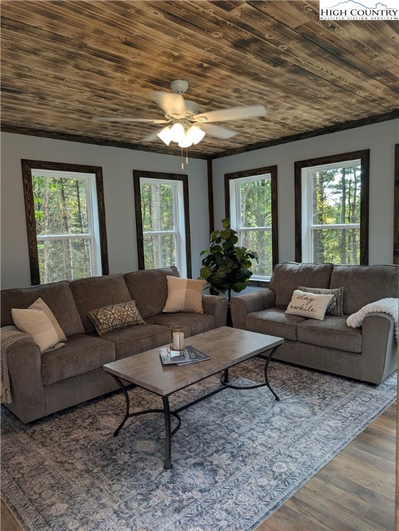 222 Doell Lane Sparta, NC 28675 - Photo 11 of 23 a living room with furniture and a large window