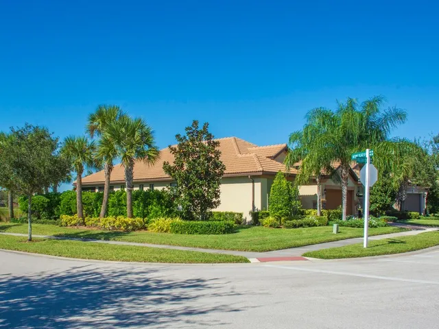a view of a park with large trees