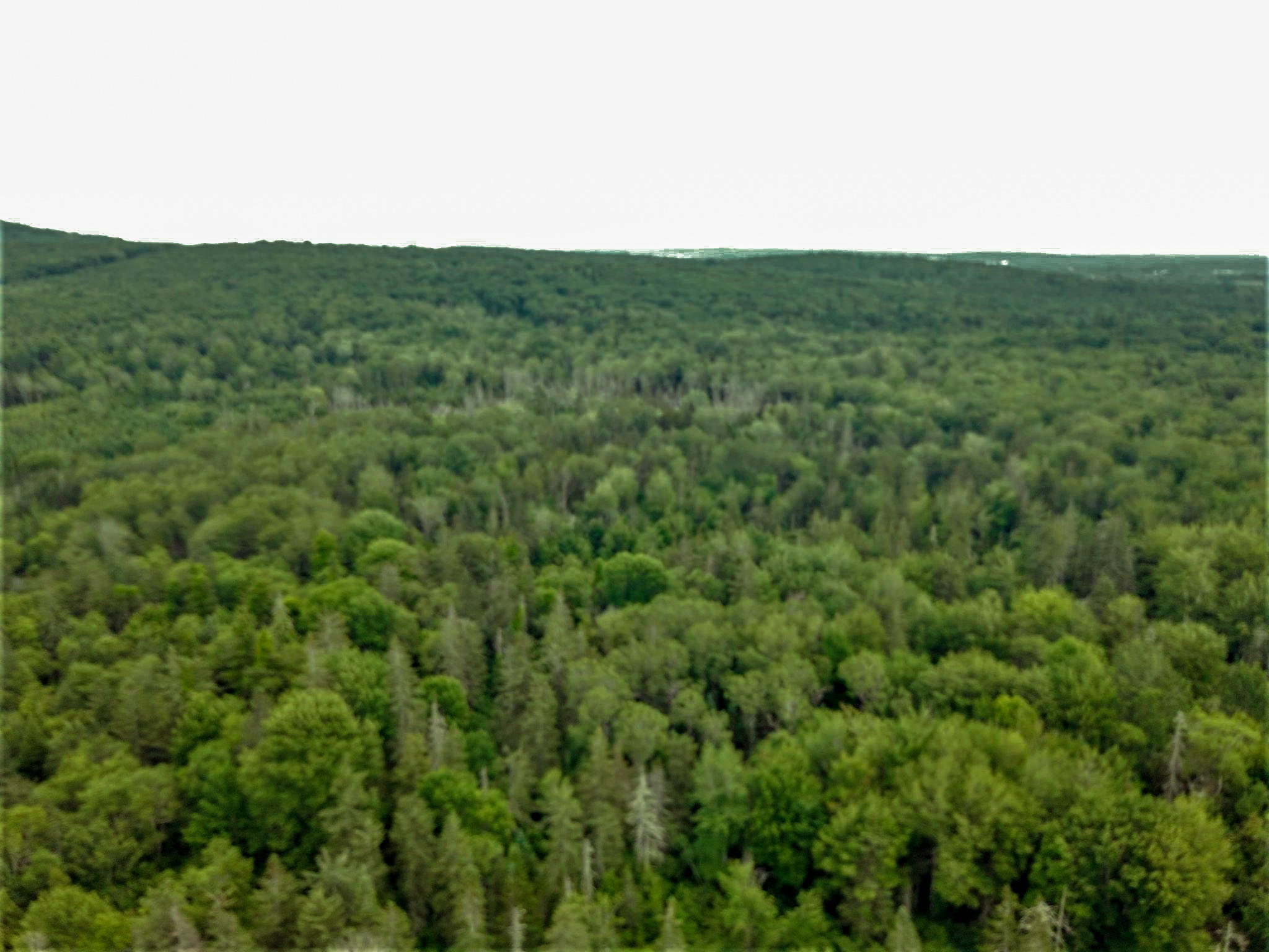 0 Deer Run Road Thomaston, ME 04861 - Photo 4 of 9 looking out over surrounding land