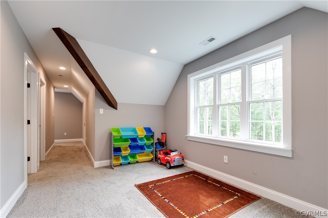 17137 Old Ridge Road Montpelier, VA 23192 - Photo 29 of 49