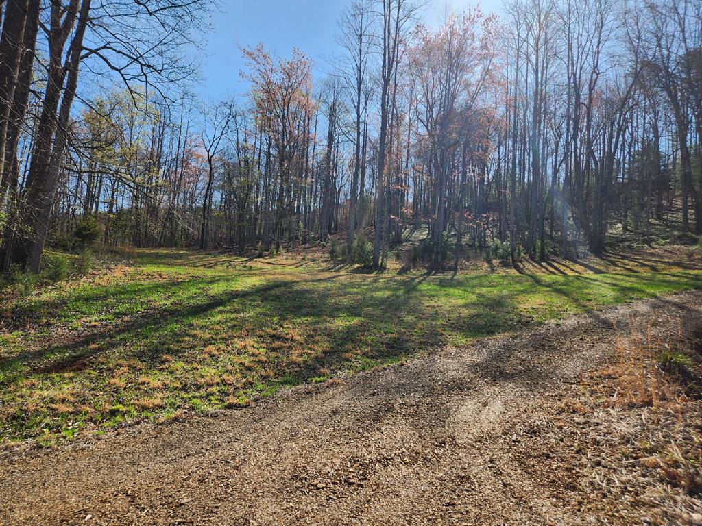 Tbd Dobyns Church Road Stuart, VA 24171 - Photo 12 of 13 Gallery Image 12