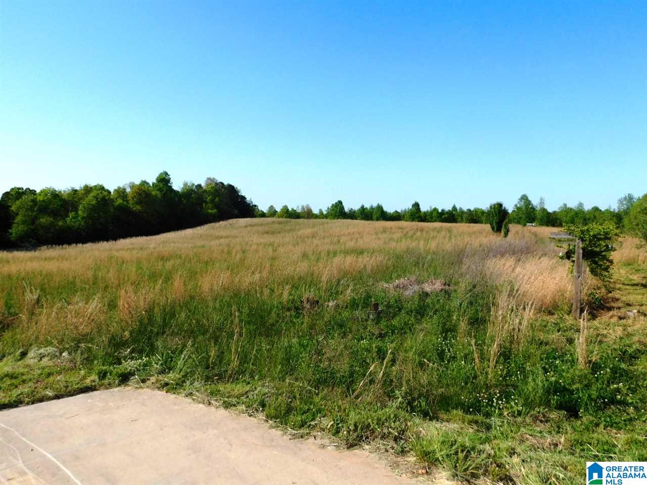 7805 Highway 24 Oneonta Al Oneonta, AL 35121 - Photo 36 of 42