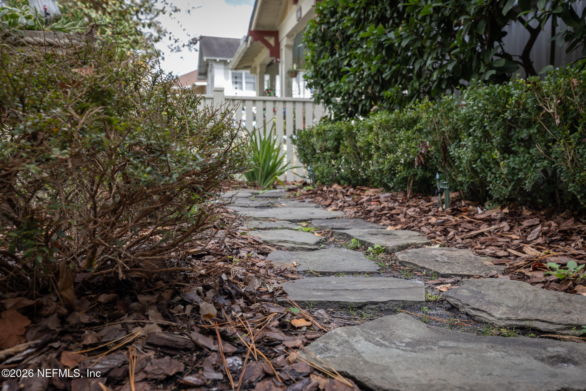 2326 Forbes Street Jacksonville, FL 32204 - Photo 47 of 55 a view of a dry yard with trees
