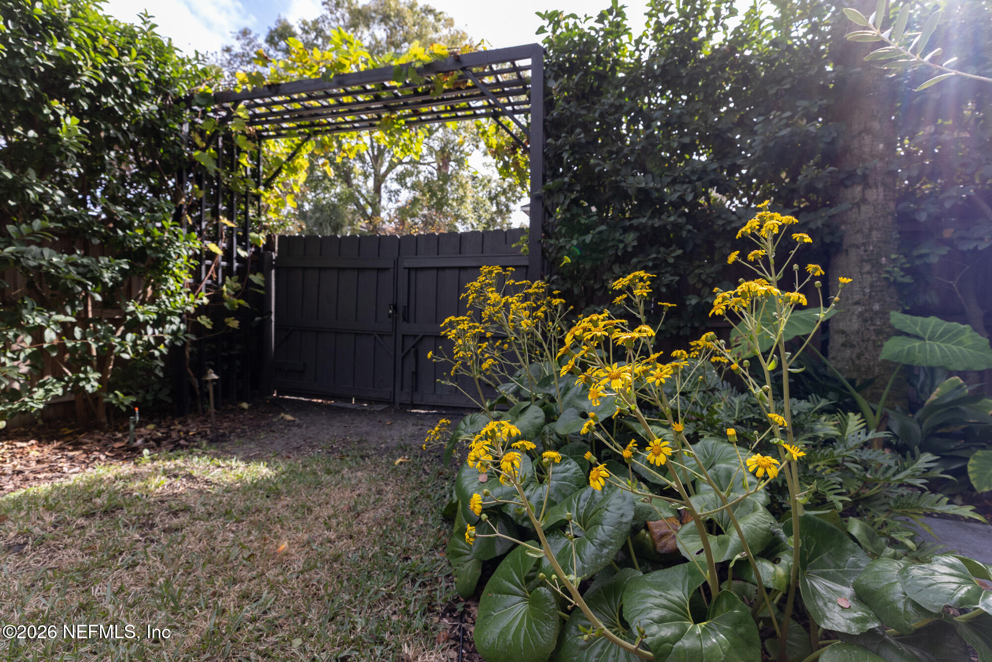 2326 Forbes Street Jacksonville, FL 32204 - Photo 52 of 55 a backyard of a house with lots of green space